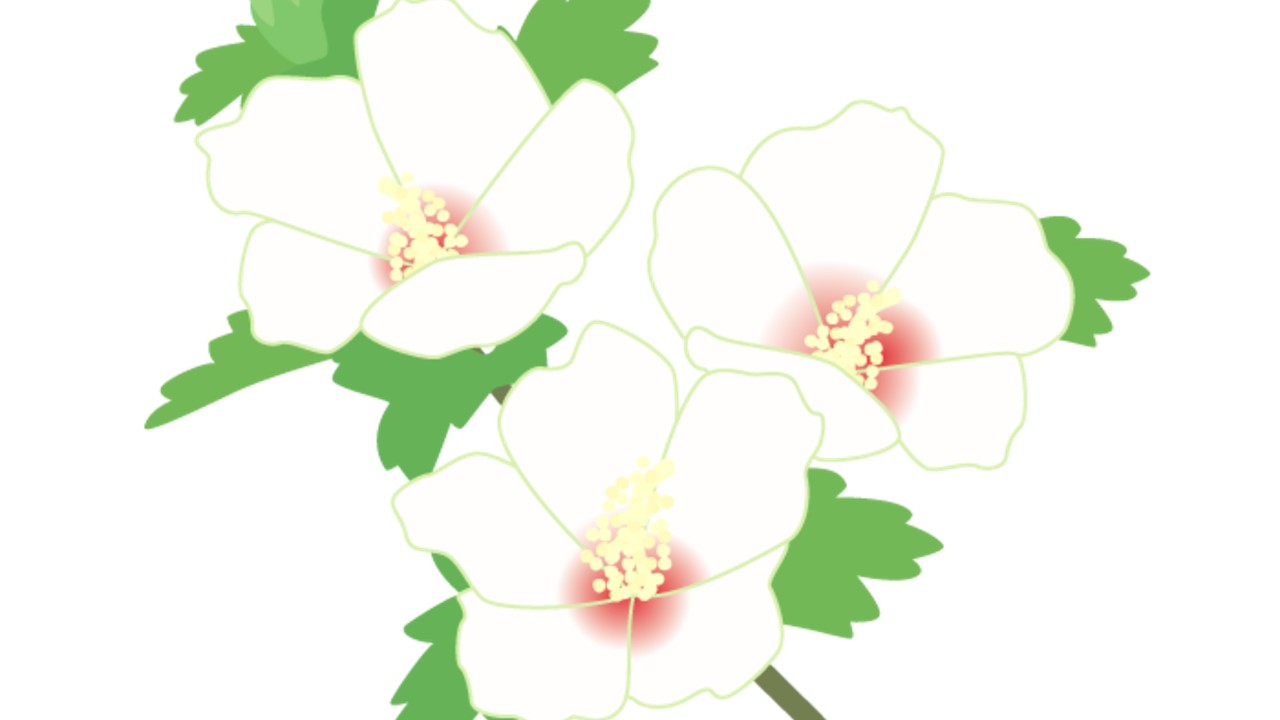 販売開始半年経過のご挨拶と御礼