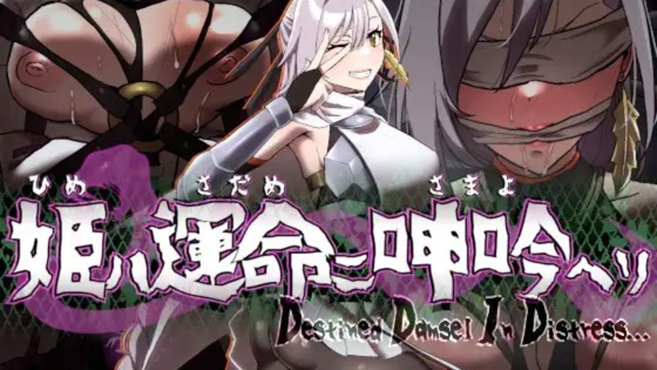 テ ス ト プ レ イ 記 録 姫 ハ 運 命 ニ 呻 吟 ヘ リ Destined Damsel In Distress 紹 介.