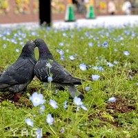 はーとぅー