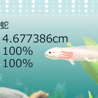 お久しぶり