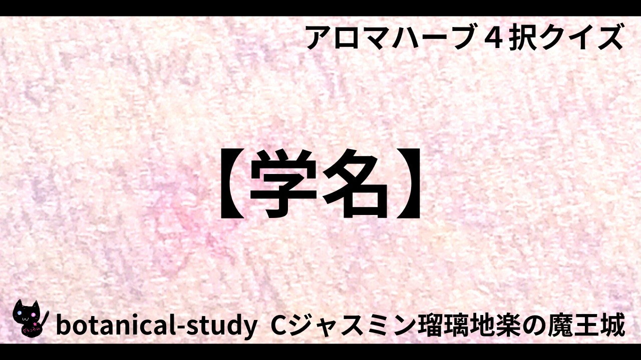 01320【学名】「Crocus sativus」が示すハーブ