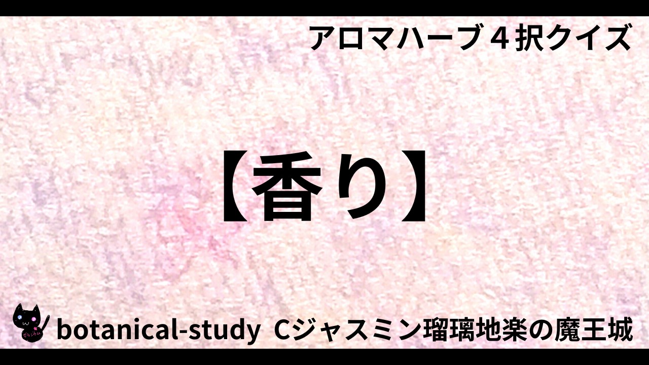 01241【香り】『クローブ』精油と香りの相性が良いと言われている精油