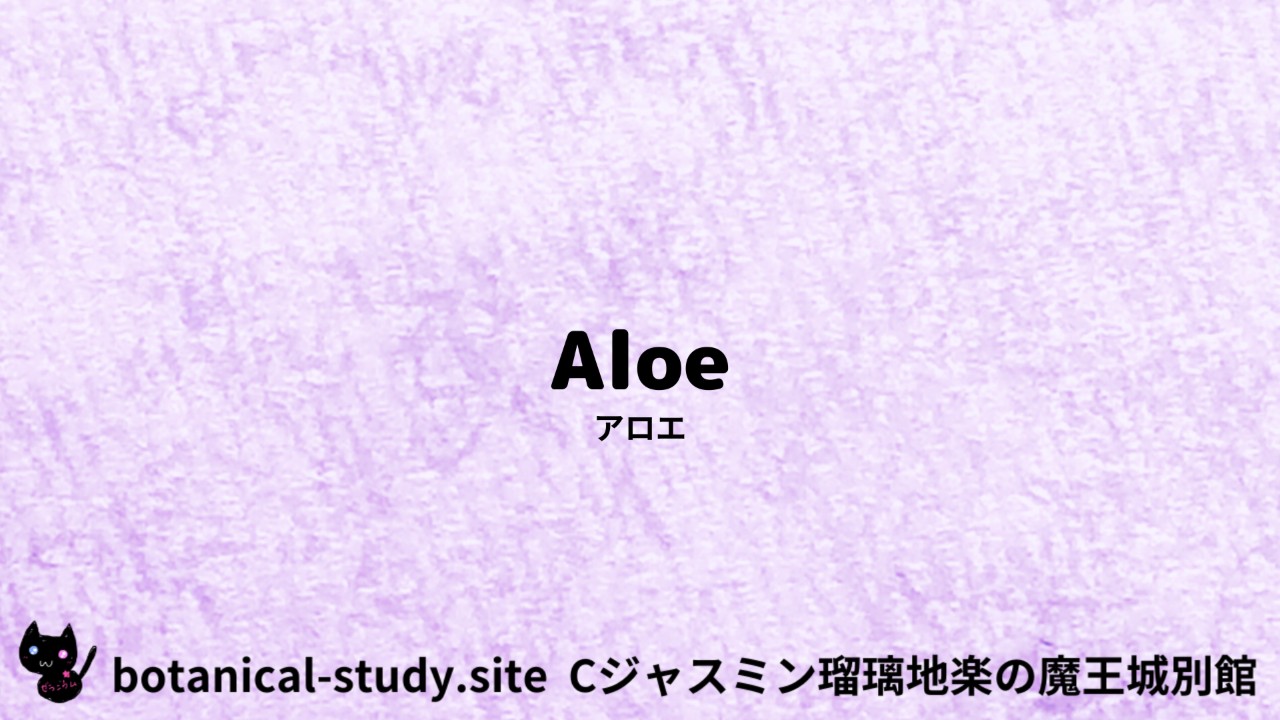 Aloe：Mini Dictionary Quiz　アロエ