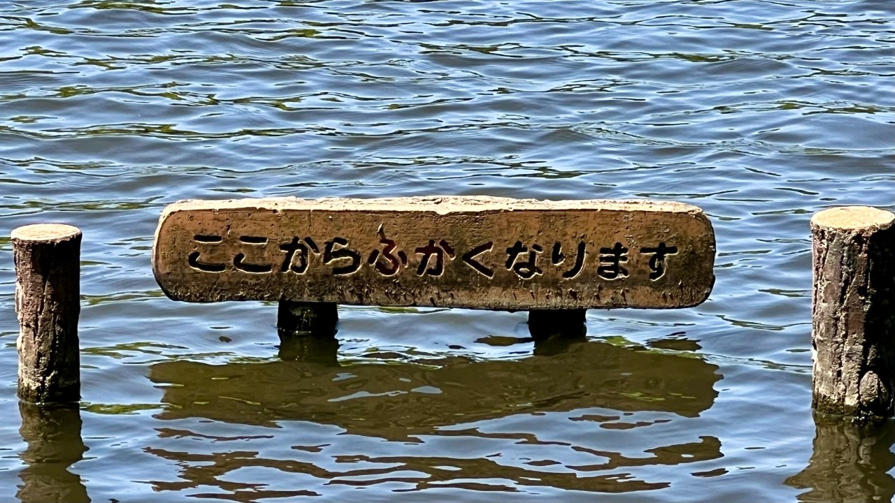 今日からこちらでよろしくお願いします！٩(ᐛ)و