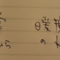 しゅちゅぼはいちんこ🍌💕