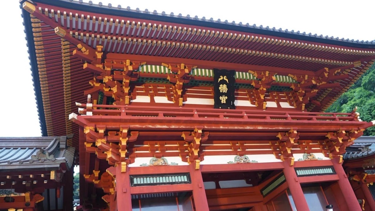写真を撮りに行こう