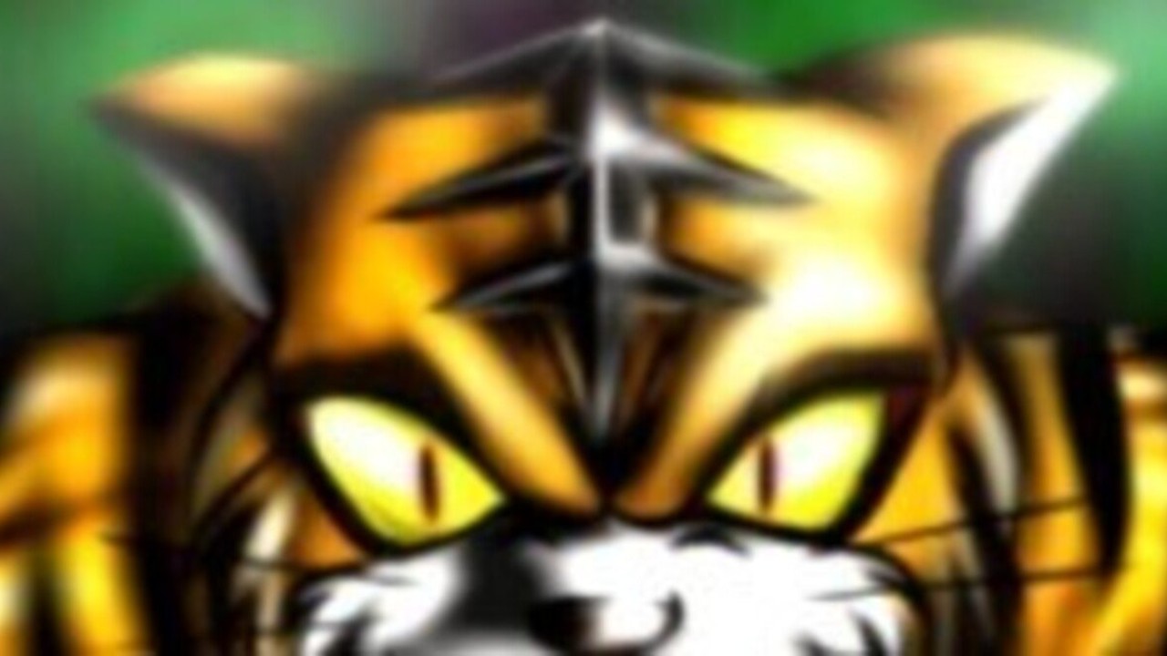 猫の日