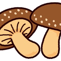 過去投稿