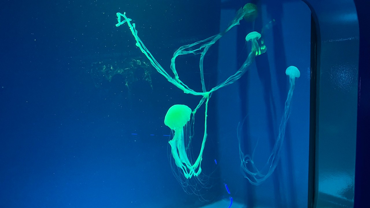 先生の三角関係　3話_2025年10月特典　［R18］