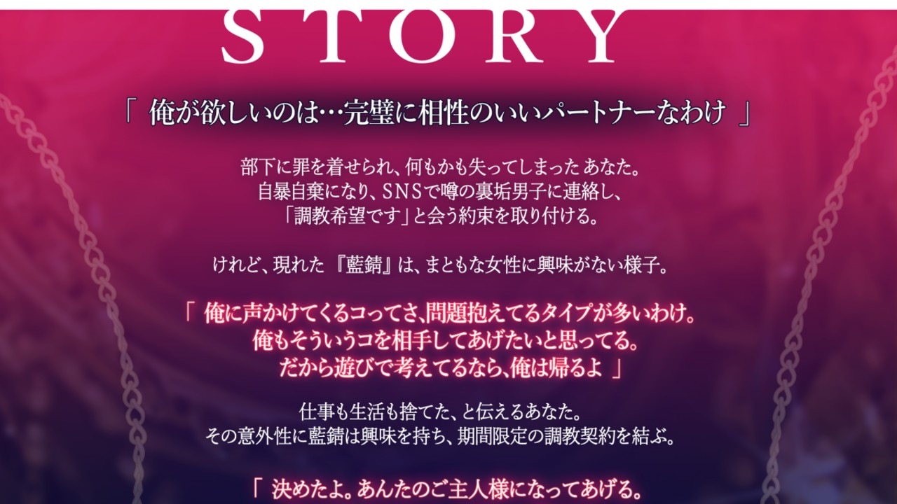 新作情報　【12月末発売予定】