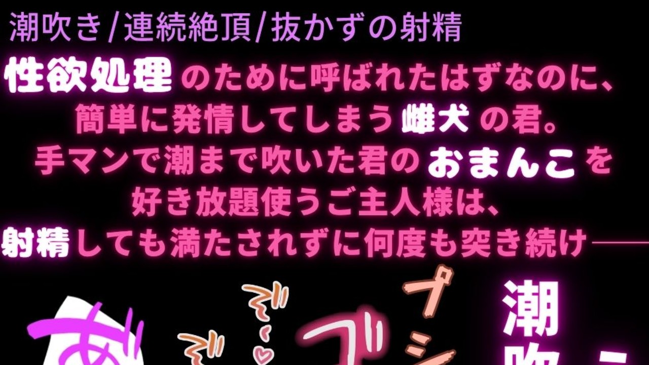 【潮吹き/連続絶頂/抜かずの射精】雌犬まんこで性欲処理♡〜潮吹きしても突くのを止めないご主人様♡〜