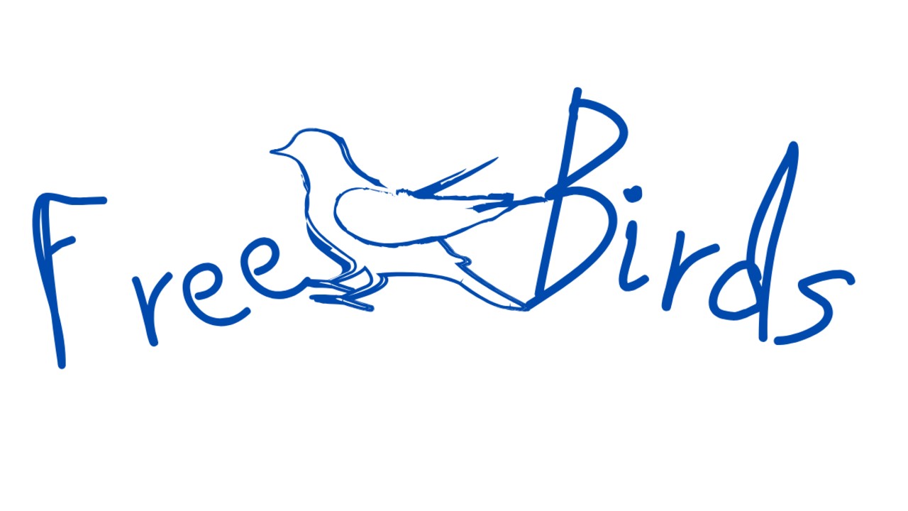 FreeBirdsの乙女向け作品について（制作方針）