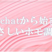 VRchatから始まるやさしいホモ調教　1
