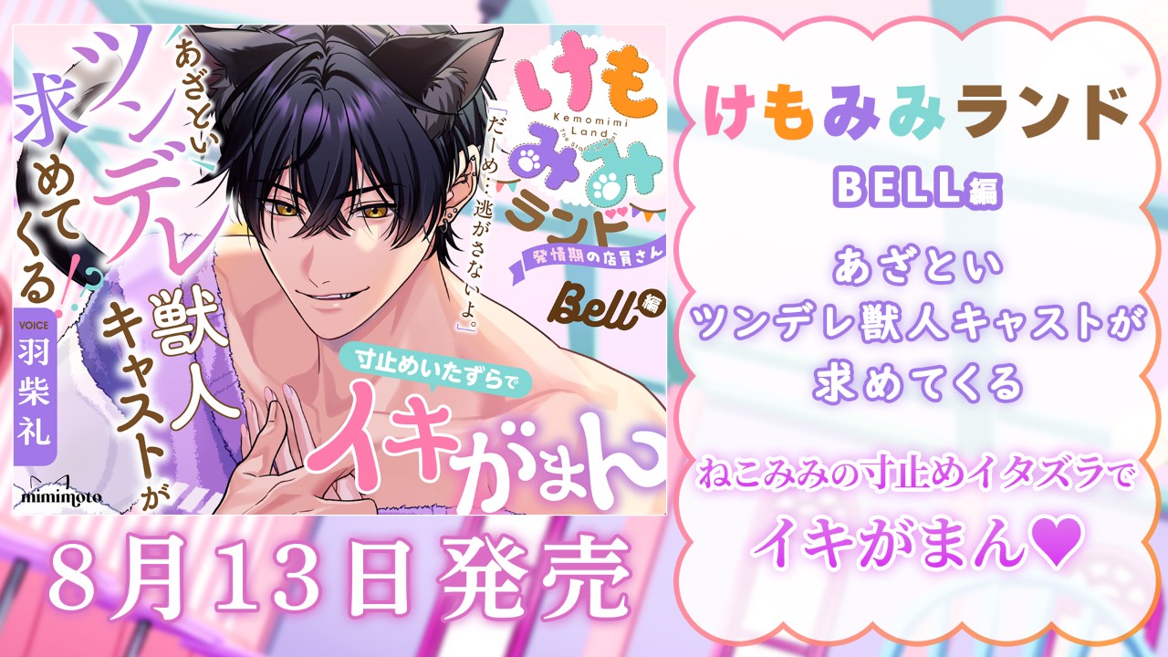 遂に…あと6時間！！
