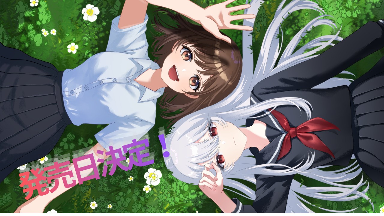 発売日決定！