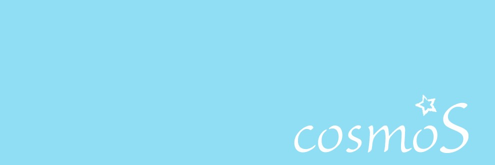 コスモSプラン一覧 Cien(シエン)