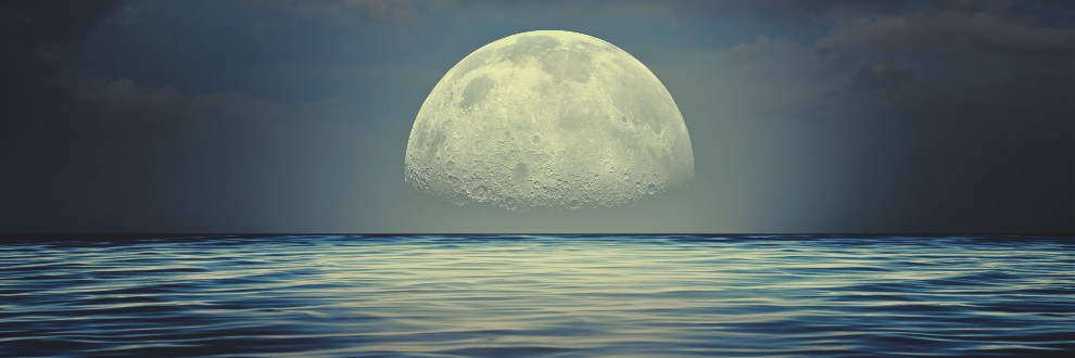 Sea Moon
