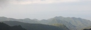 初めまして