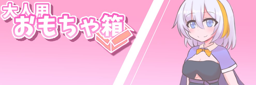 大人用おもちゃ箱