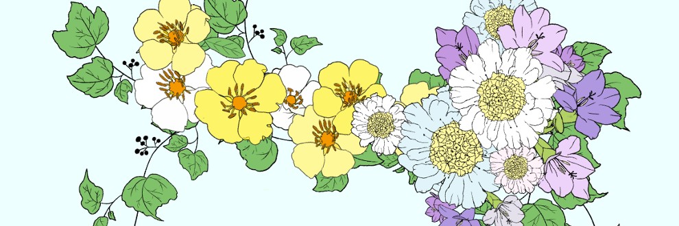 かずかずこめこめ
