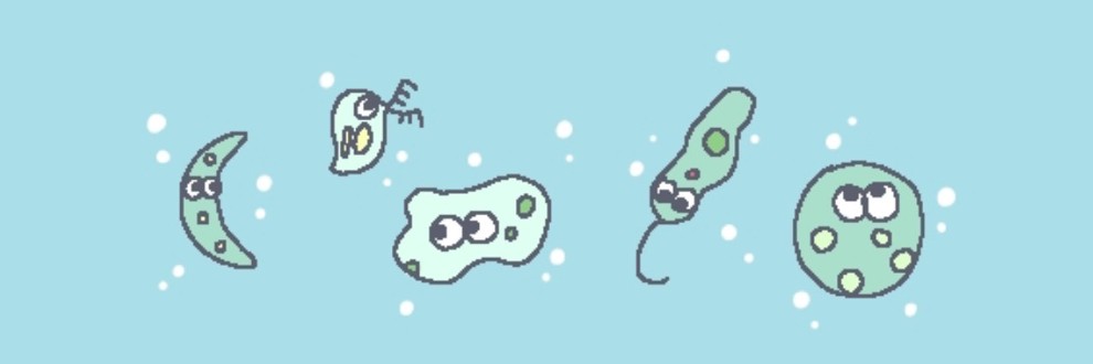 むの水槽