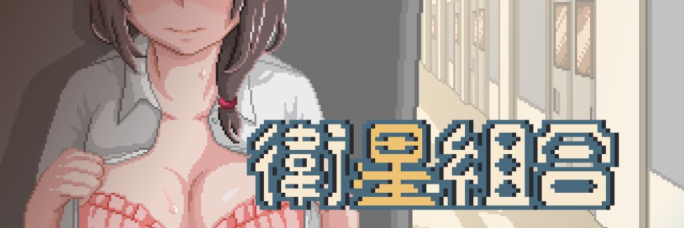 衛星組合