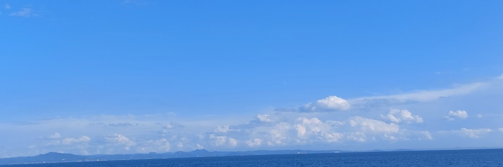 サリュ507