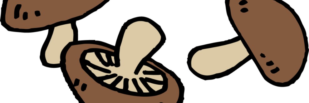 しいたけ♂