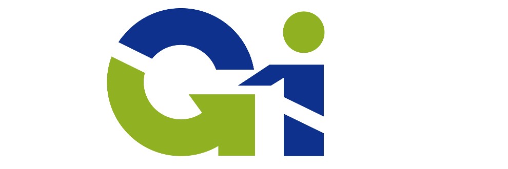 Global Info Research