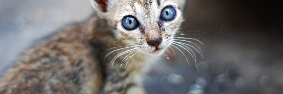 【同人】ちょっと分かりにくい勘違い