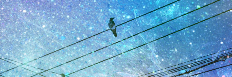 【R-18】今売れてるTRPGイラスト作品【2026年2月9日】