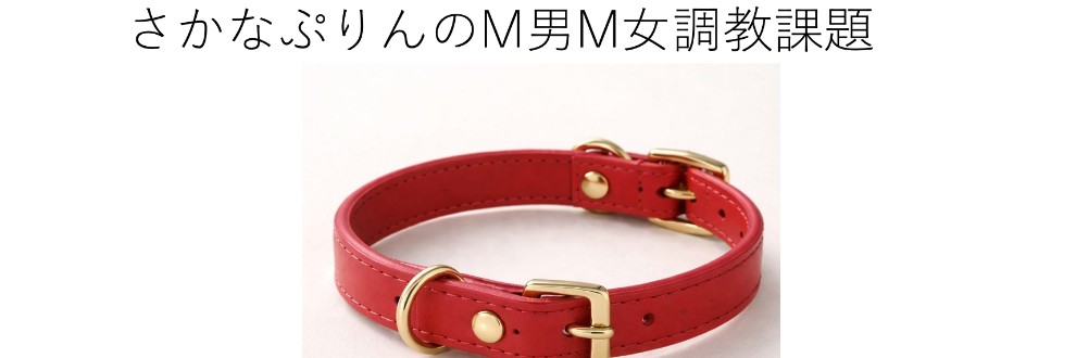 さかなプリンのM男M女調教課題