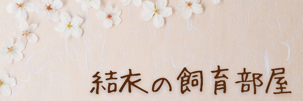 結衣の飼育部屋