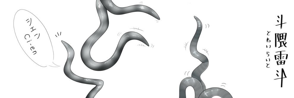 Fanti Away(斗隈雷斗)