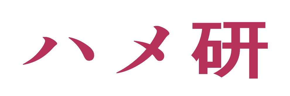 ハメ研