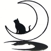 月夜の黒猫