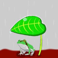 雨宿り蛙