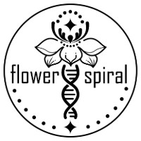 flower　spiral