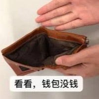 付费上班翻译组