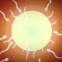 シノキ研究所