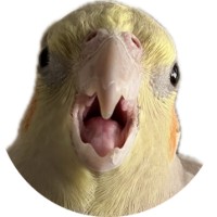 桃色クリニック