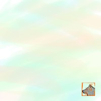 占術師兼神様達の無の巫神の狼龍沾狐