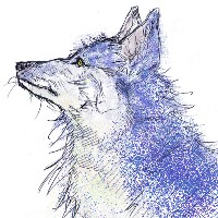 瑠璃色の狼