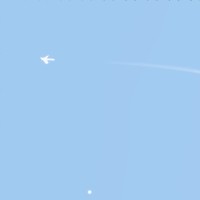 うまトロ循環系