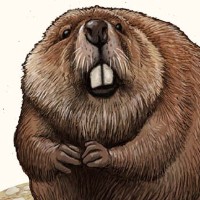 ビーバー工房