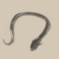 しらうなProject