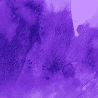 ノアザミ（執見列）