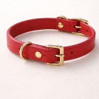 さかなプリンのM男M女調教課題