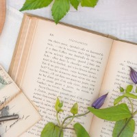 山梔子 周/周-Amane-