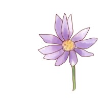 シオンの本屋さん